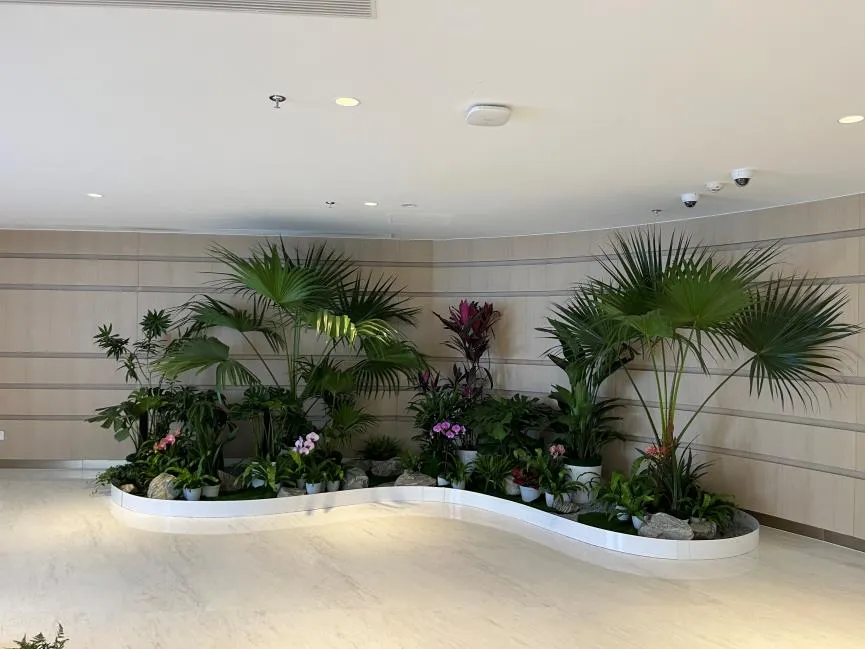 探寻镇海花卉出租，实惠之选打造别样空间！